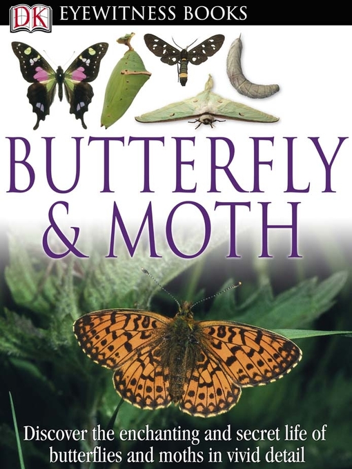 Title details for Butterfly and Moth by DK - Available